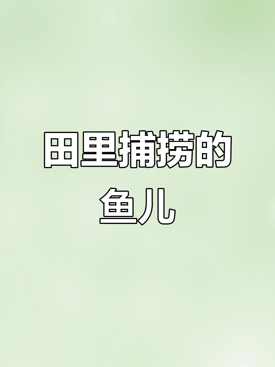 鱼篮子大丰收，泥鳅、小鲤鱼都有！