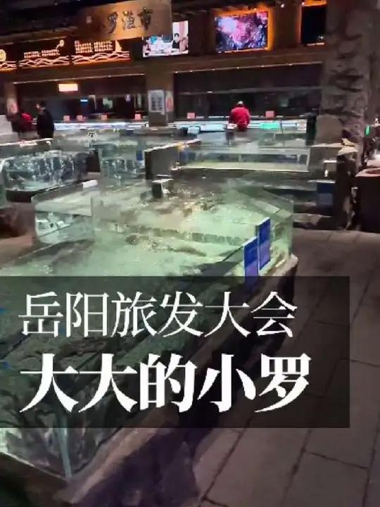 巨大小罗鱼蟹馆