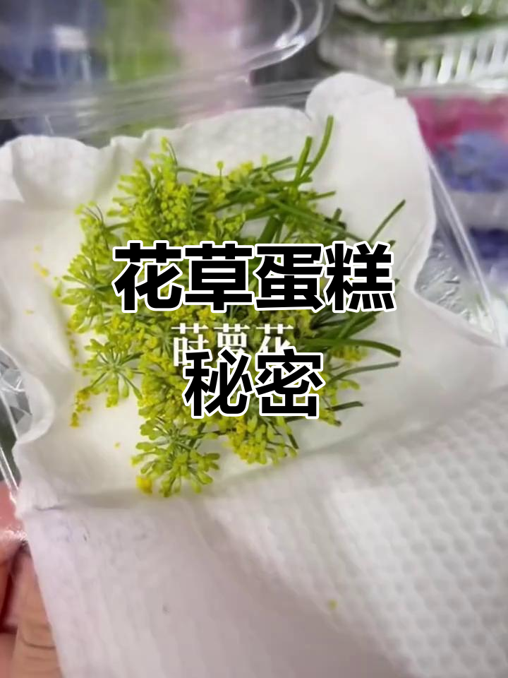 蛋糕装饰花草大揭秘,冷菜摆盘也能变美!