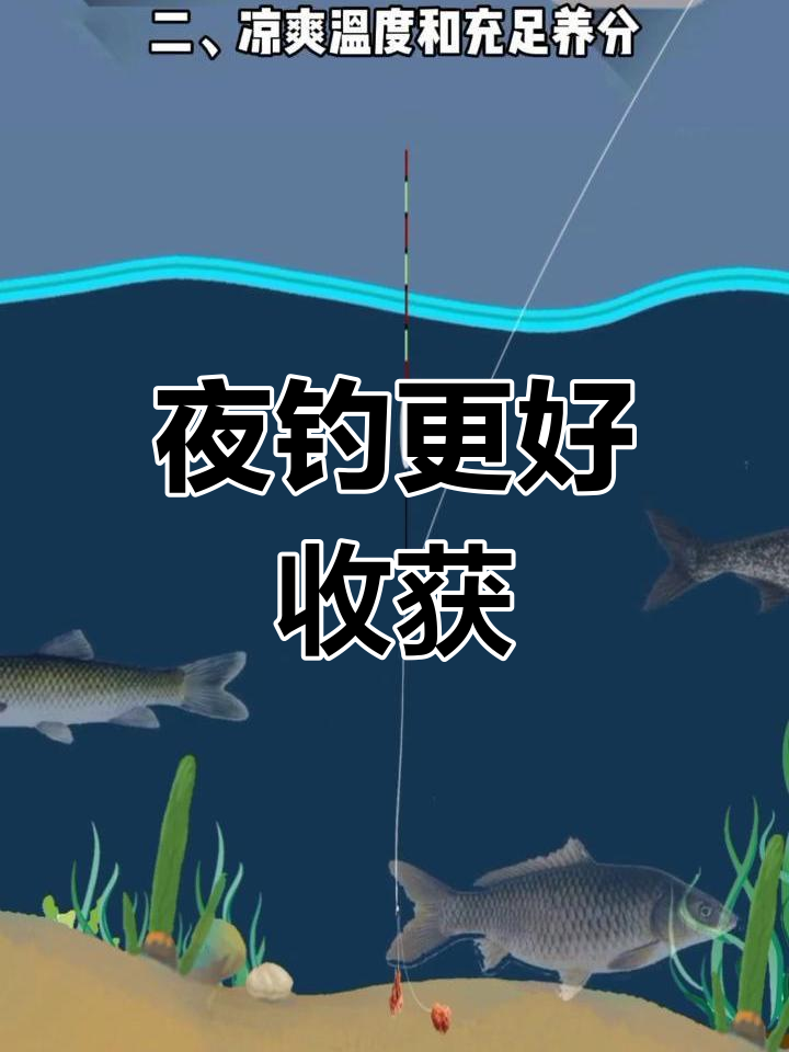 夜间钓鱼的优势与技巧