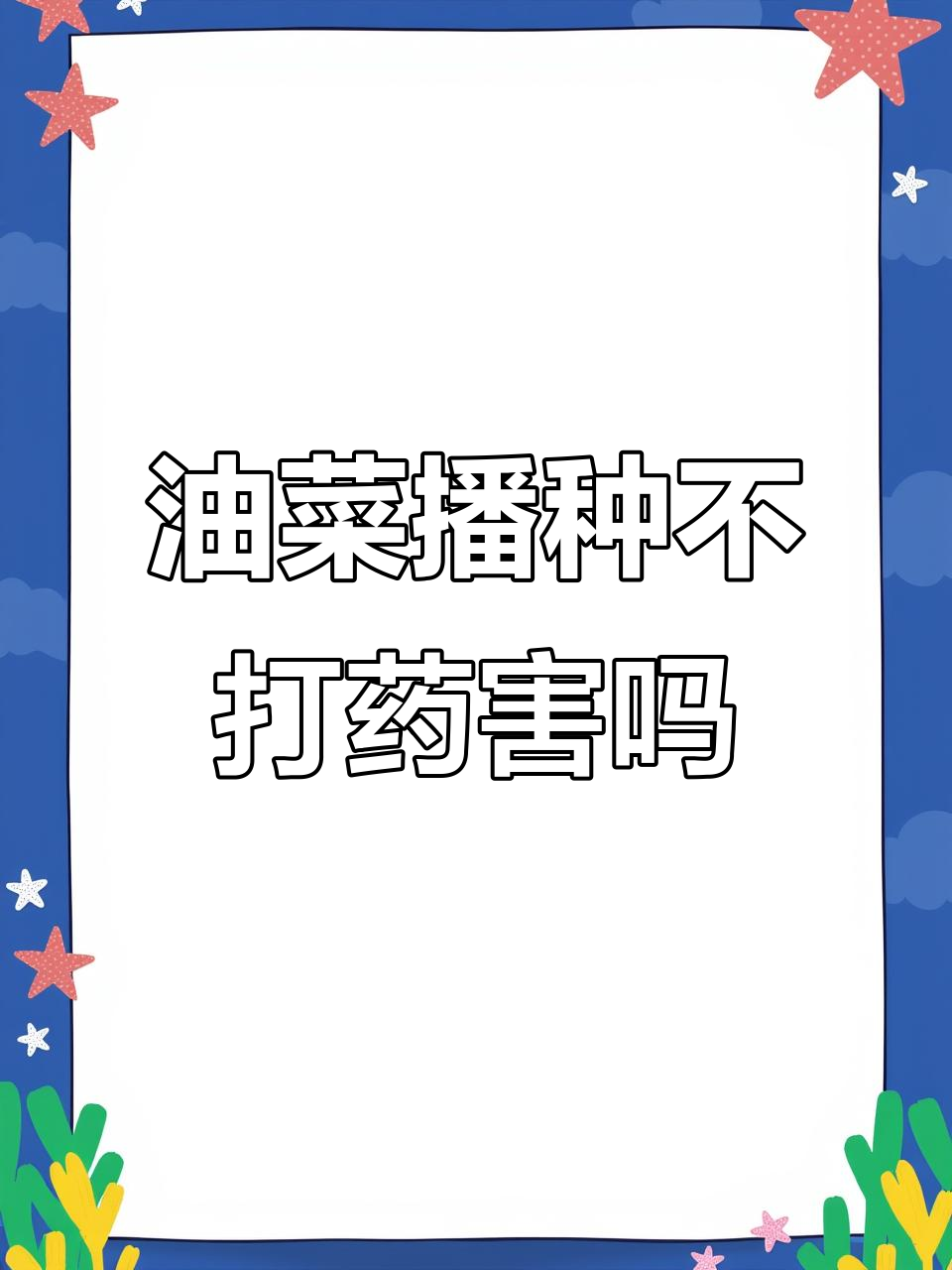 油菜播种后不盖土，封闭药害影响有多大？