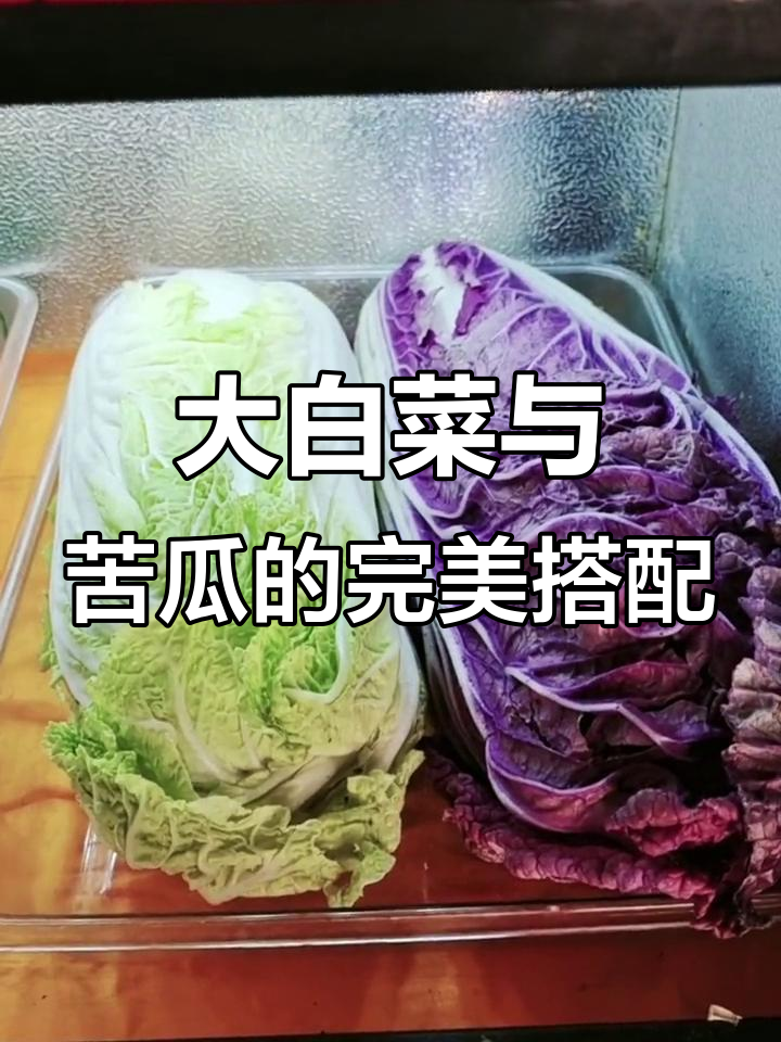 营养美味大白菜黄菜鸡翅,苦瓜炒稿搭配更佳
