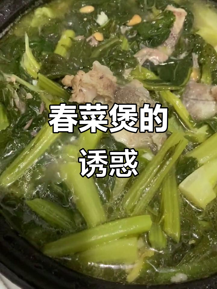 春菜煲太美味,老公吃上瘾,今天又煮了一大锅!