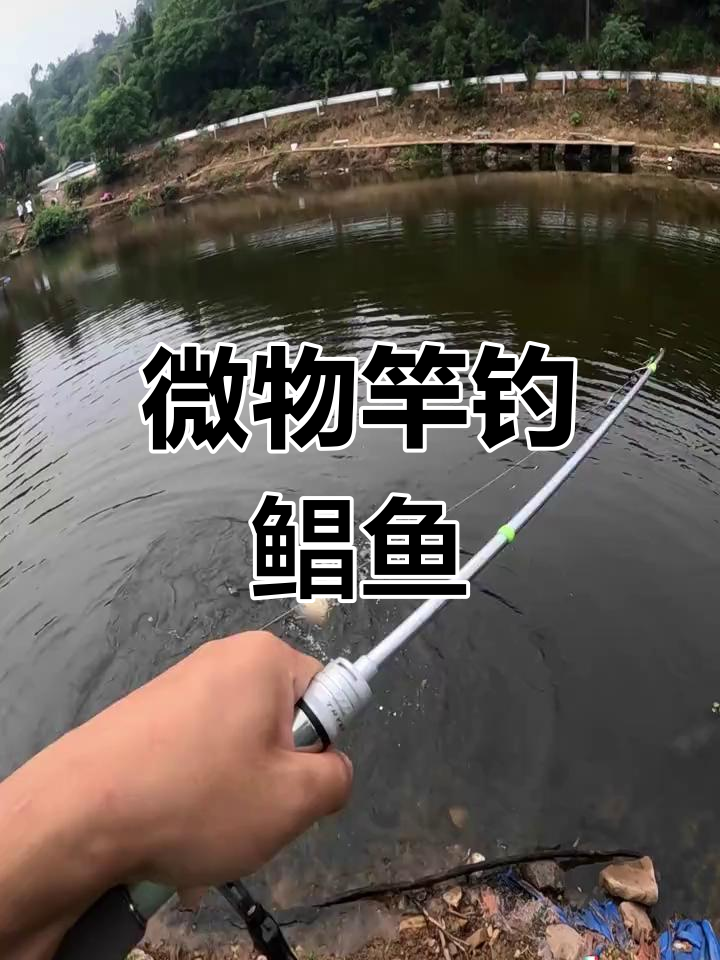 微物竿挑战淡水鲳鱼,轻松应对斤半个体