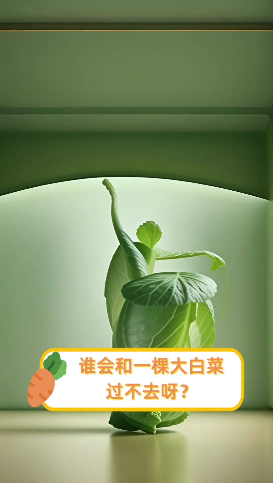 谁会和一棵大白菜过不去呀?