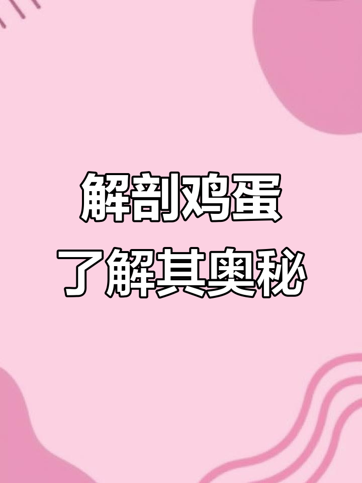 揭秘鸡蛋内部结构,气孔与气室的神奇作用