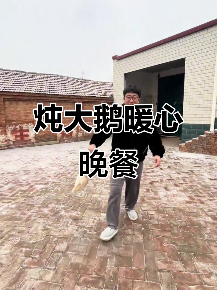 下雪天炖大鹅，热腾腾的晚餐准备好了