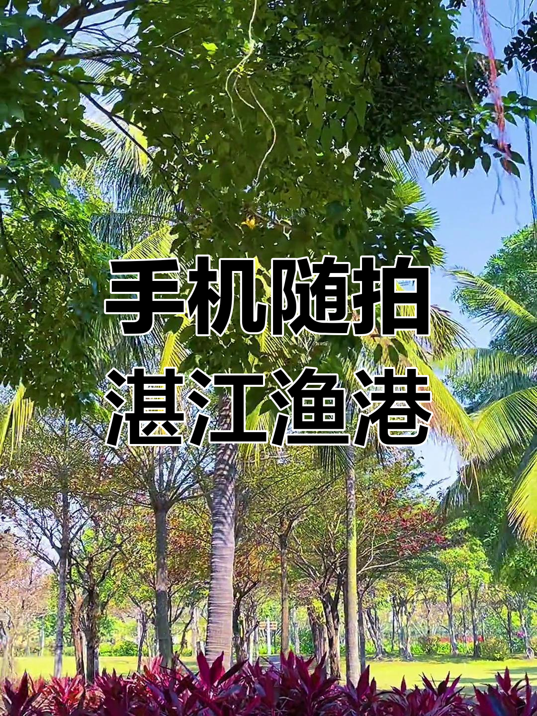 湛江渔港公园美景,手机随手拍下的幸福时刻