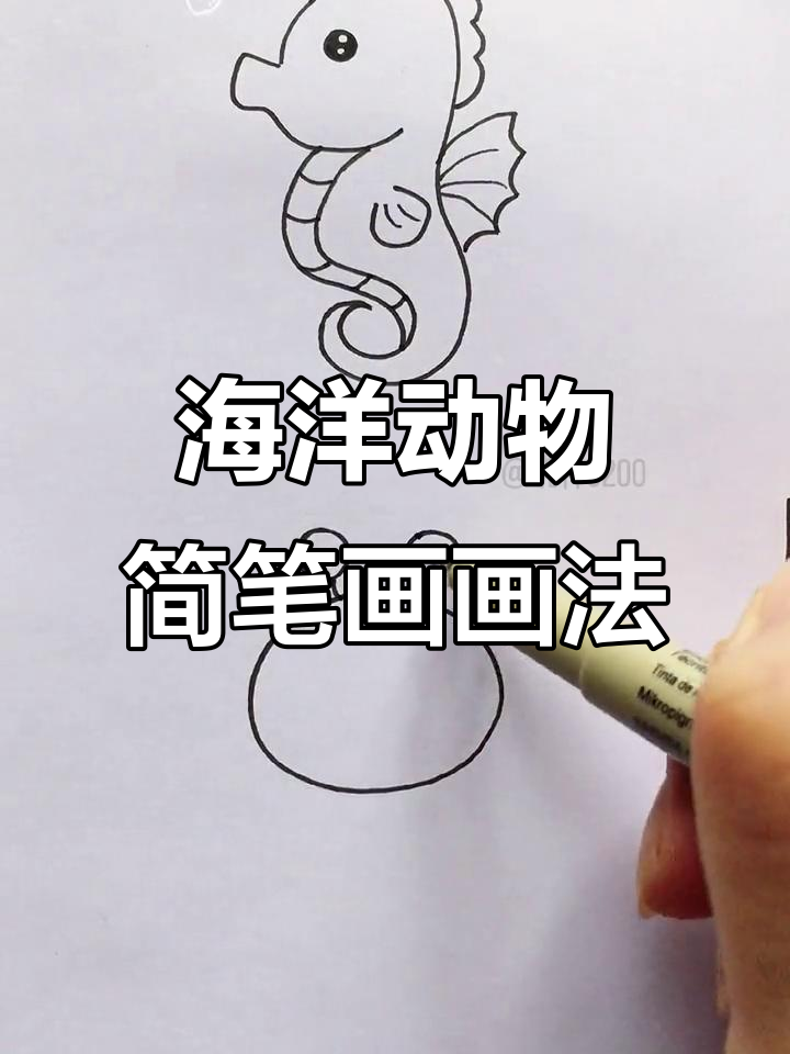 海洋小动物简笔画,轻松学会画可爱海生物