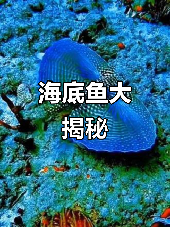 带你认识海底世界的各种神奇鱼类，看看你能猜出多少种？