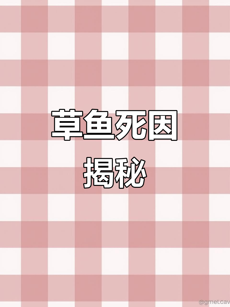 草鱼大量死亡，体黄唇厚，原因令人费解