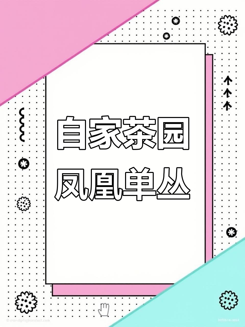 凤凰单丛茶:传统纸包鸭屎香,乡村自产自销的独特风味