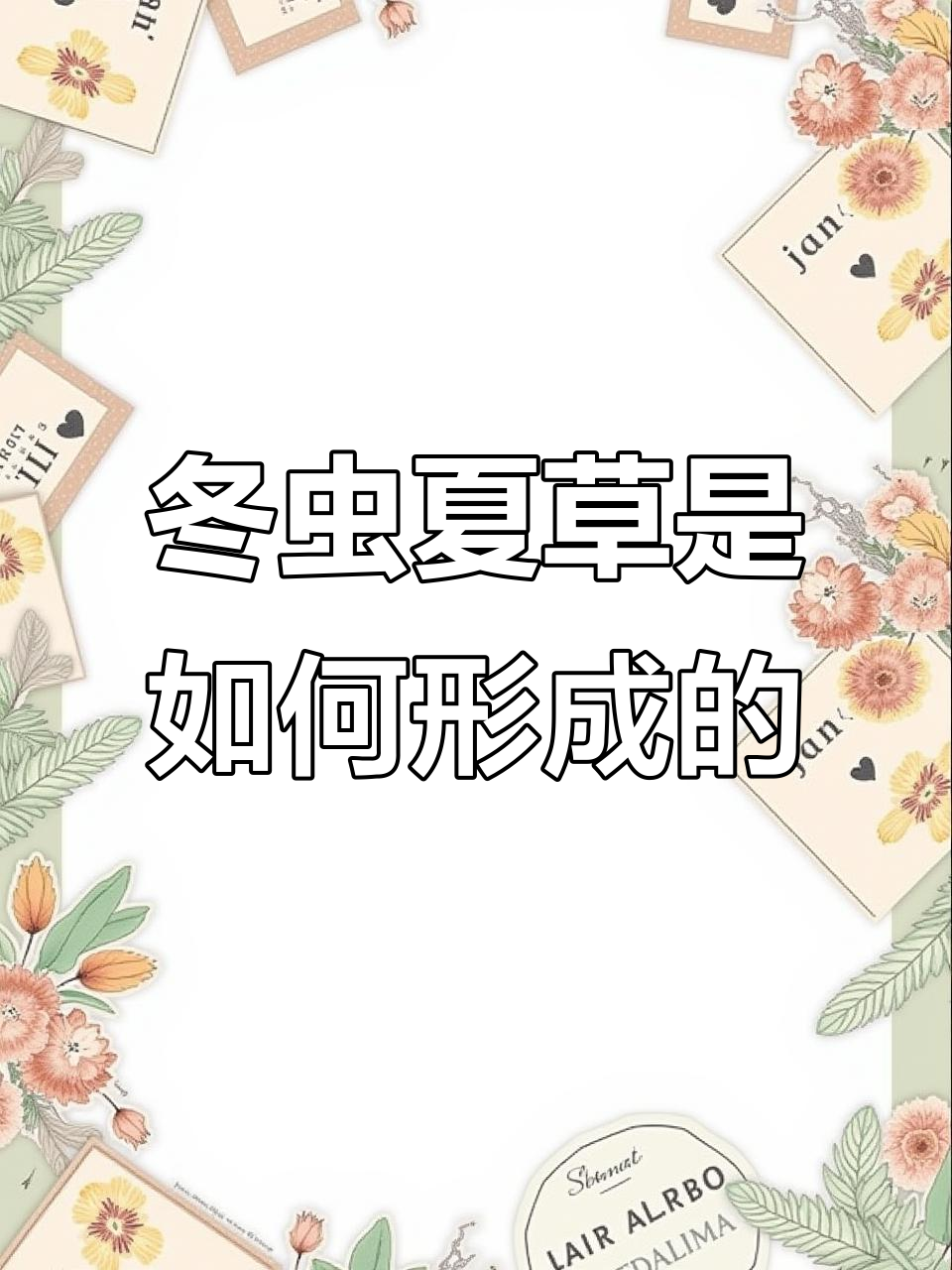 冬虫夏草的生长过程:从蝙蝠鹅卵到真菌感染的奇妙转变