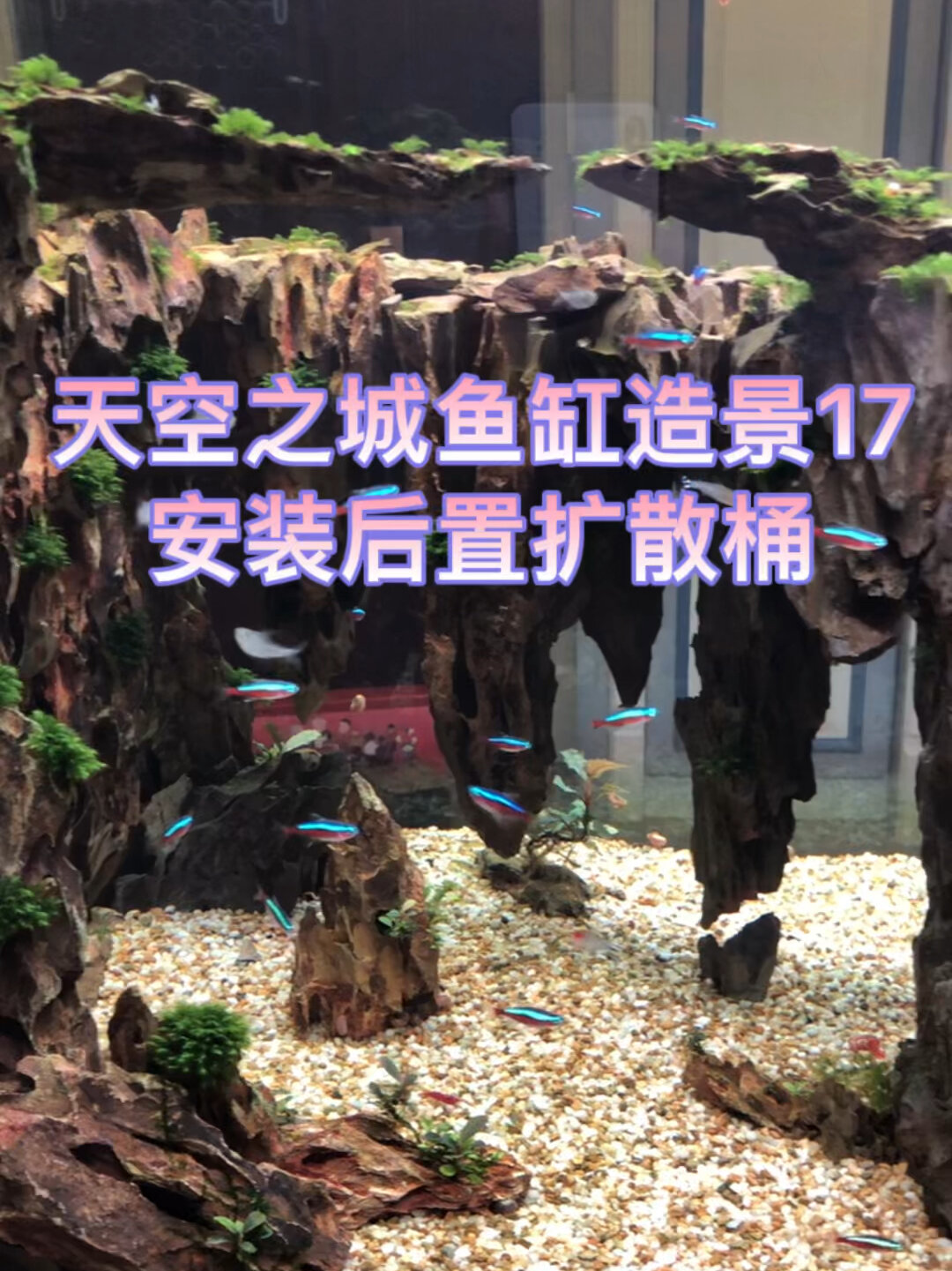 原创天空之城鱼缸造景17—安装后置扩散桶