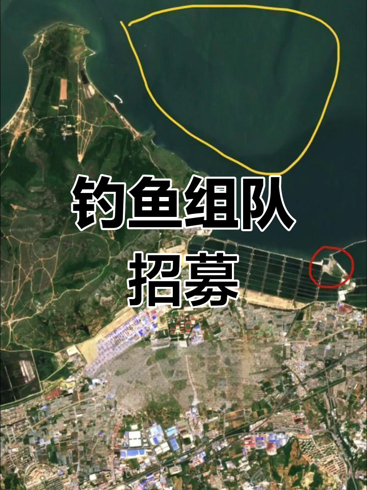 黄龙尾钓白敏子,还差两人!速来加入!