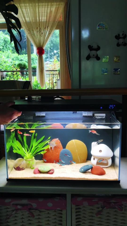 小米鱼缸,大家心心念念的米家鱼缸支架来了!