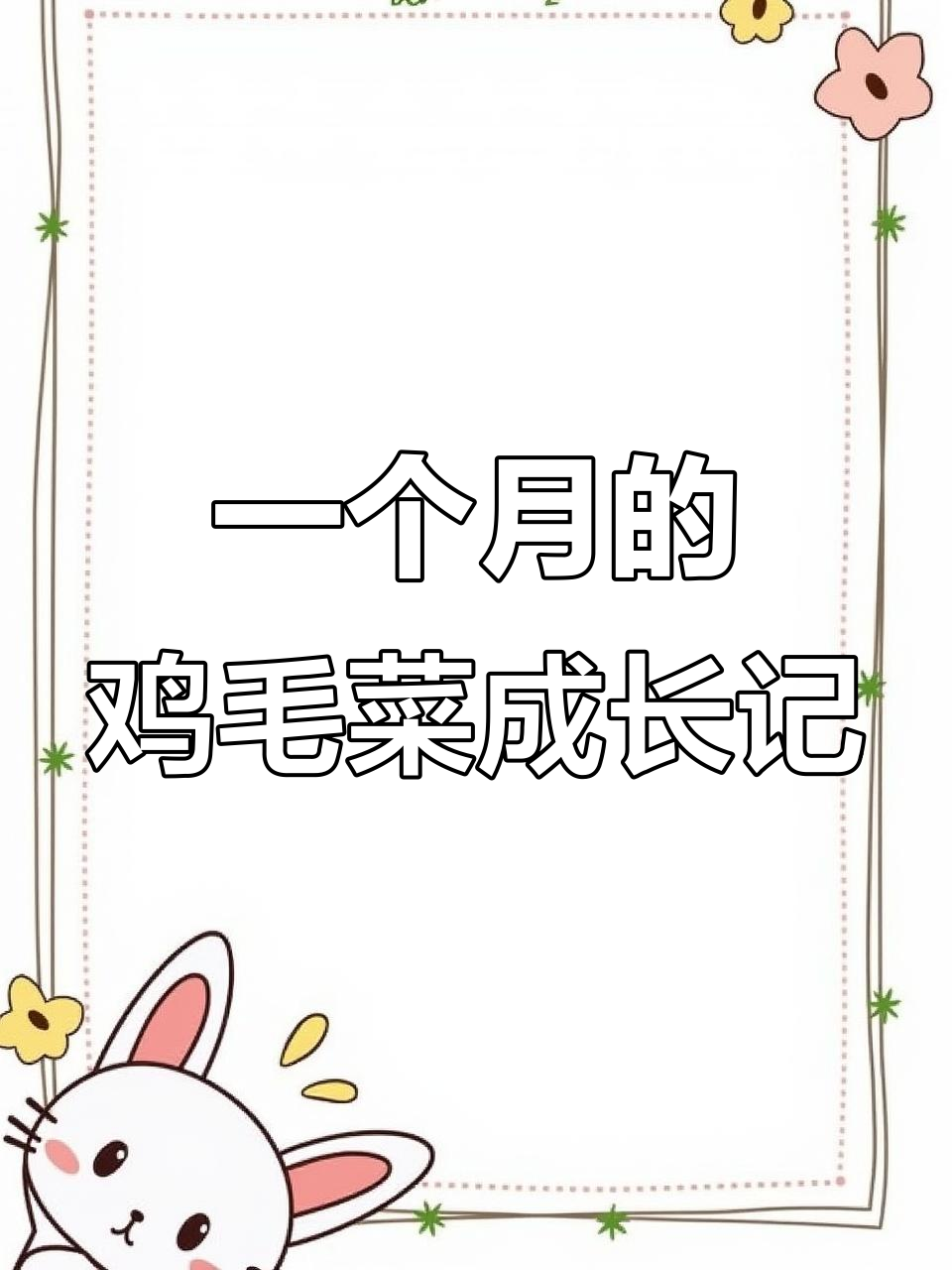 鸡毛菜生长全程记录:从虫害到采收,口感不佳的原因分析