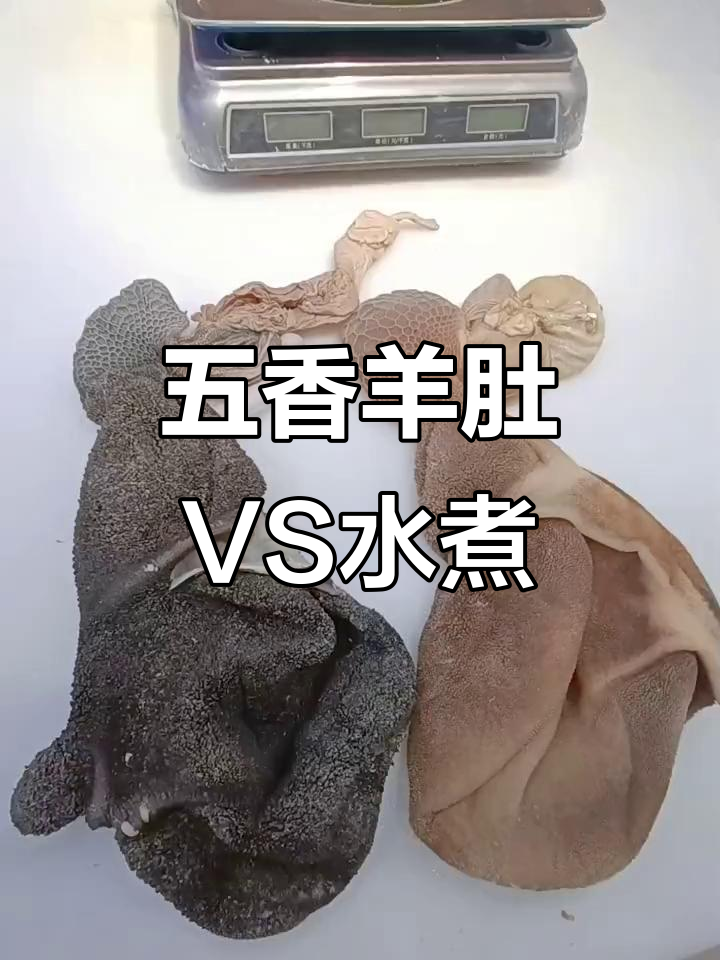羊肚两种做法,哪种更美味?五香全熟与水煮的口感大比拼