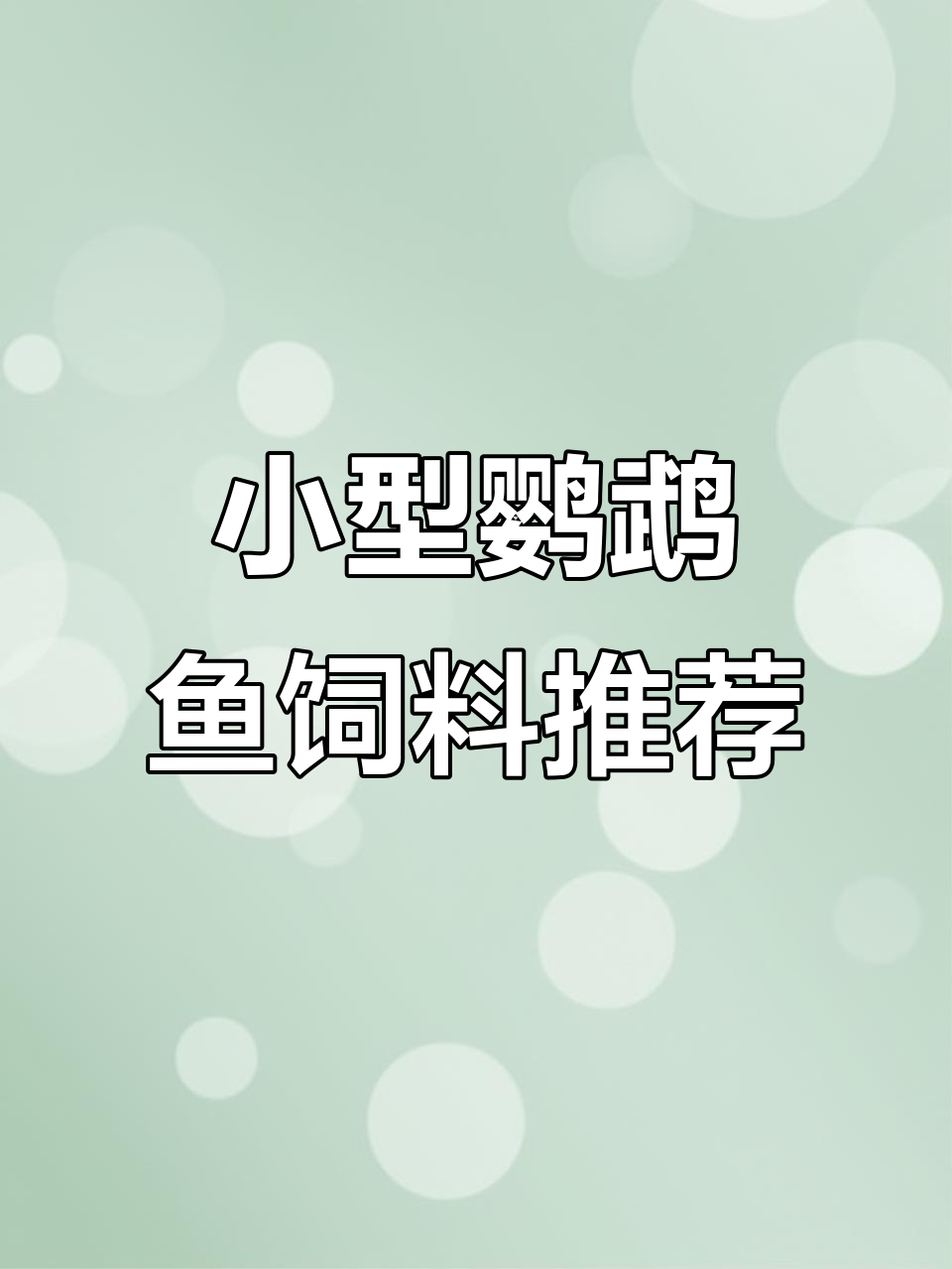 迷你鹦鹉鱼饲料投喂技巧,三厘米小鱼也能轻松吃