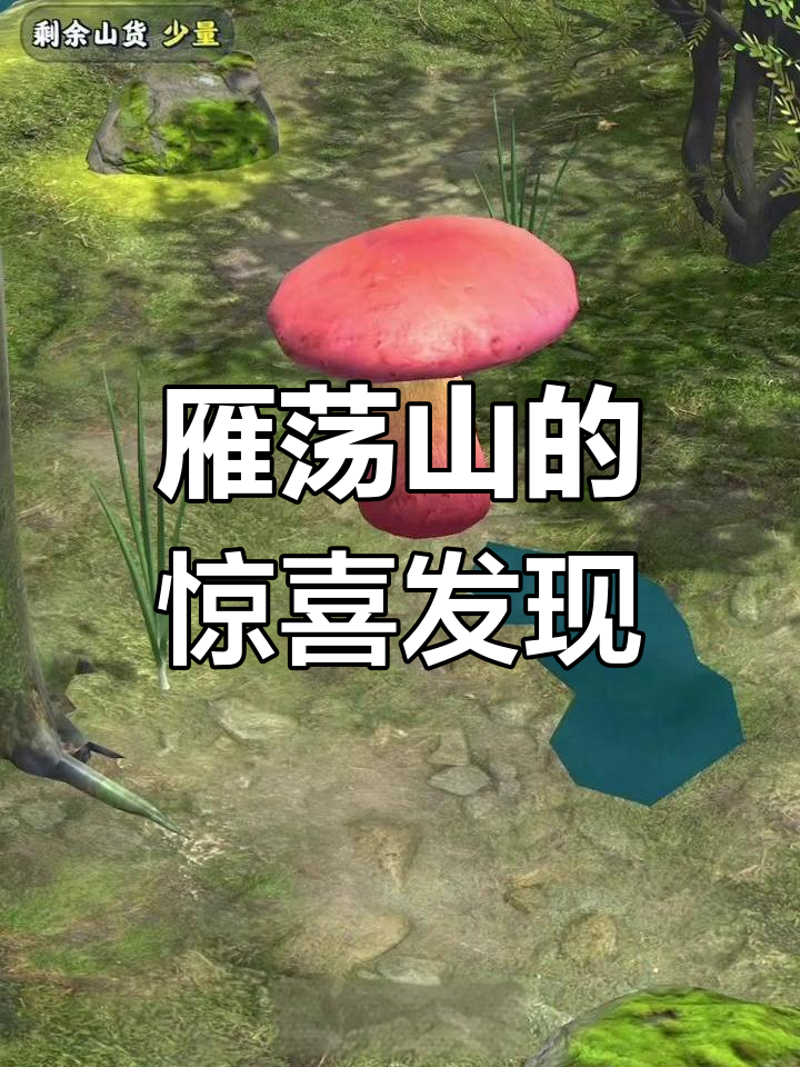 雁荡山之旅:新鲜小菜、青梅与大闸蟹的完美邂逅