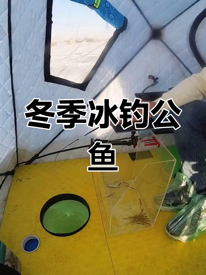 冰钓小公鱼,轻松上钩