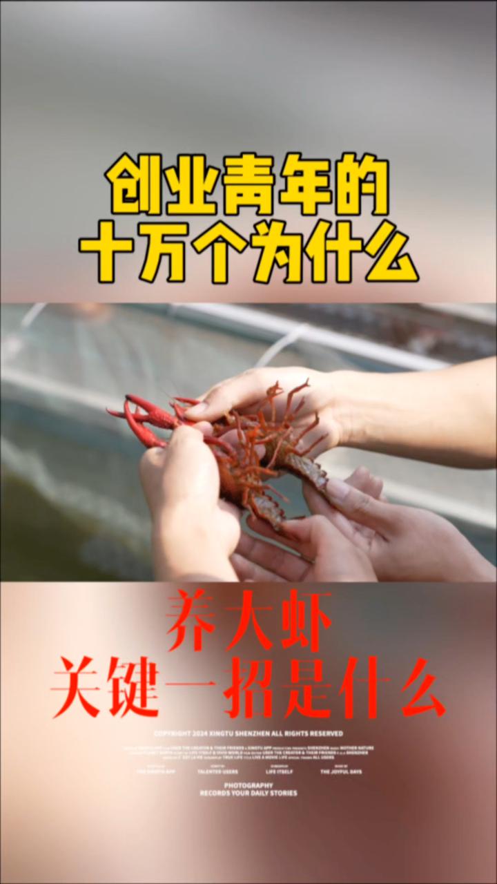 湖南率先开始用网箱养殖小龙虾，用人工洞穴来满足小龙虾喜欢打洞的习性