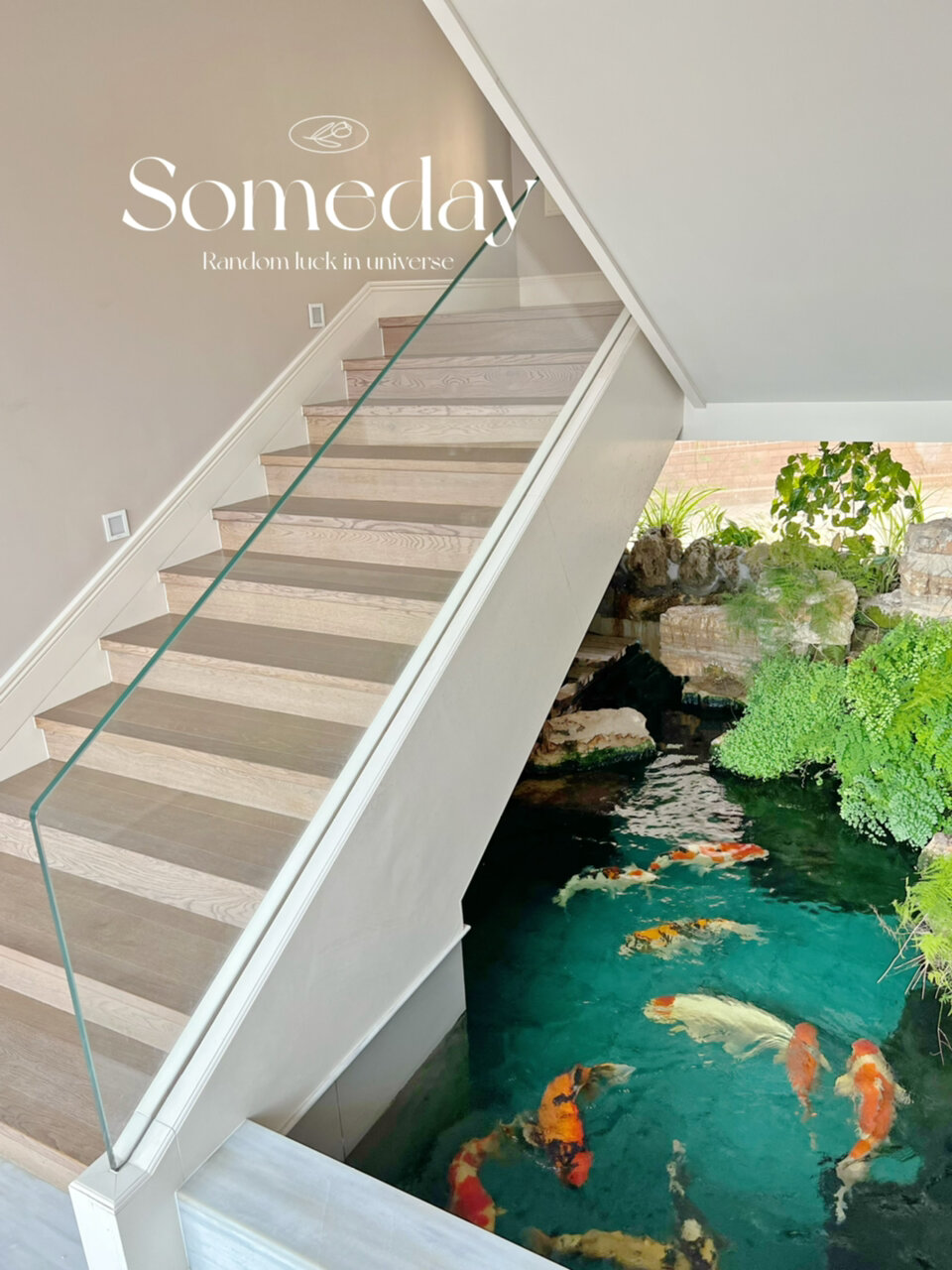 13w人看过的楼梯鱼池设计鱼池竟然了