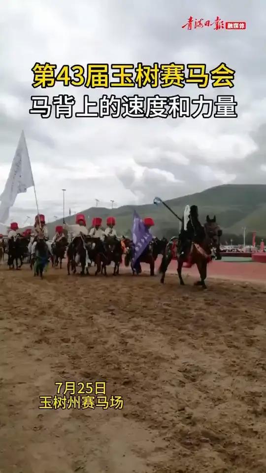 第43届玉树赛马会 马背上的速度和力量