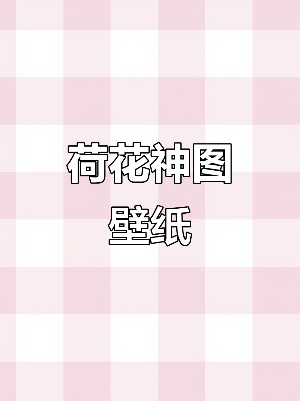 荷花壁纸大赏,美图分享