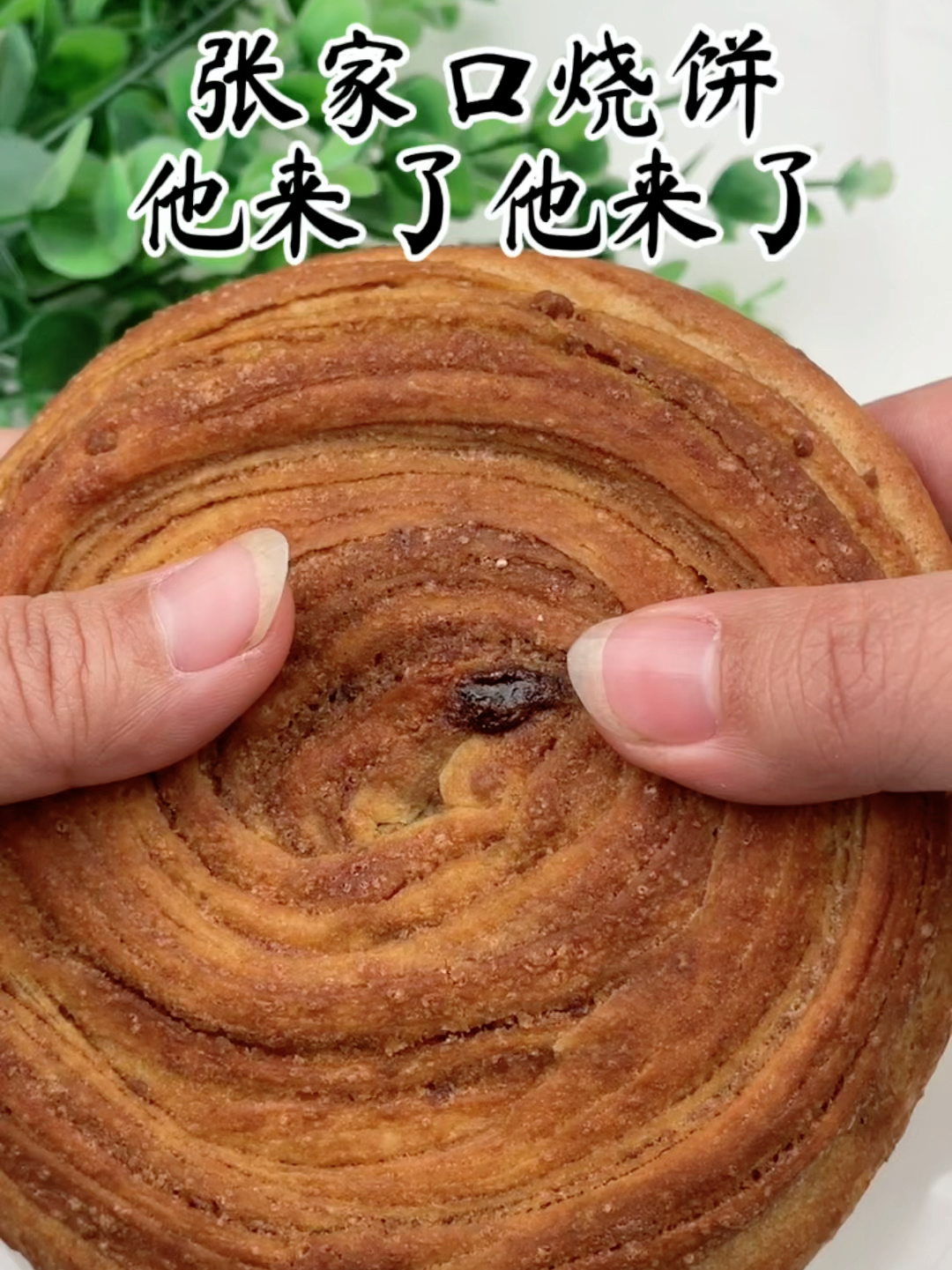 张家口胡麻油烧饼教程来了,想吃的点赞收藏