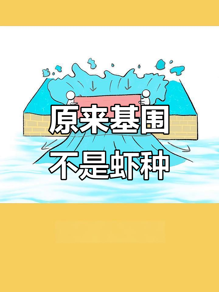 基围虾的真相:养殖方式而非品种