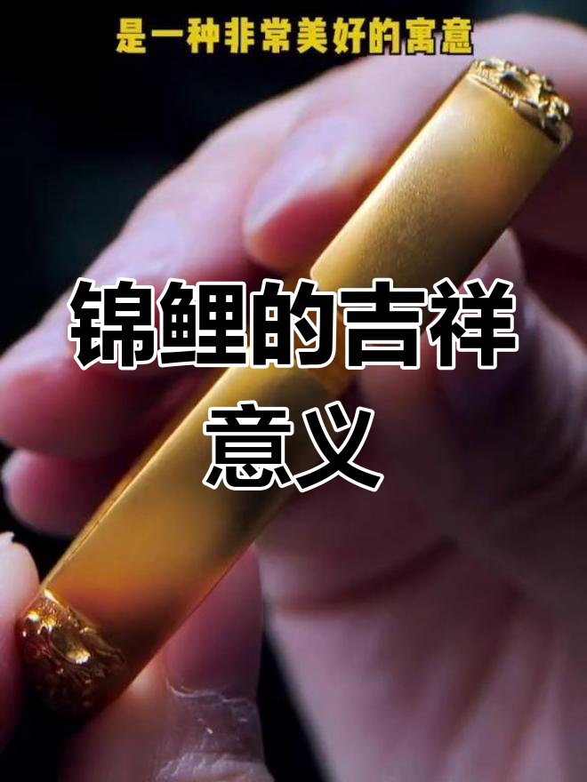 古人为何偏爱锦鲤?荷花与鱼儿的富贵寓意