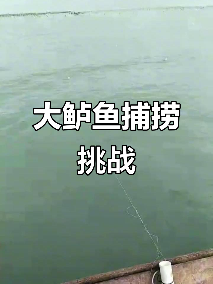 船上钓大鲈鱼,最大一条重达十几斤