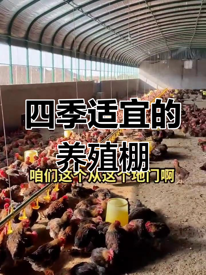 新型农村散养鸡大棚,冬夏皆宜,保温隔热设计