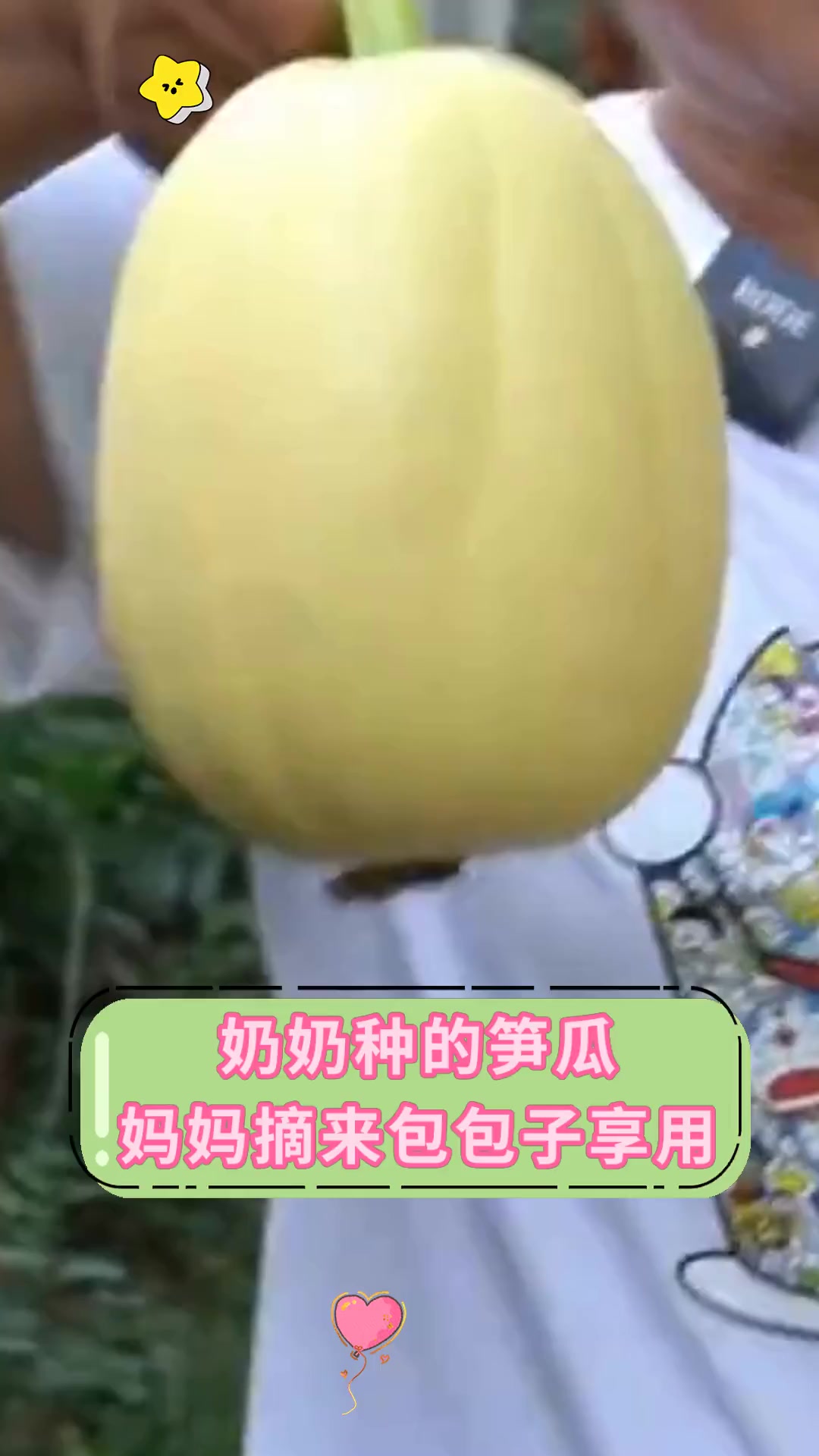 奶奶种的笋瓜妈妈摘来包包子享用