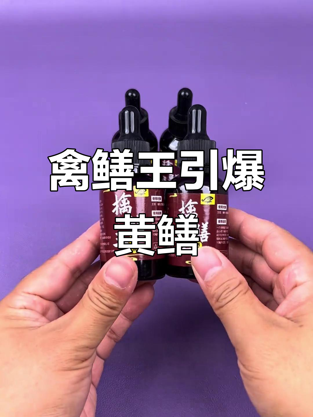 黄鳝诱食剂揭秘，轻松抓获几十斤黄鳝