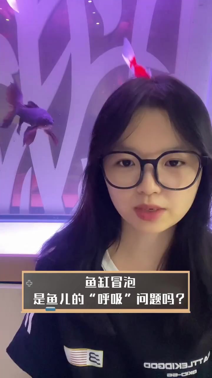 鱼缸冒泡,是鱼儿的“呼吸”问题吗?