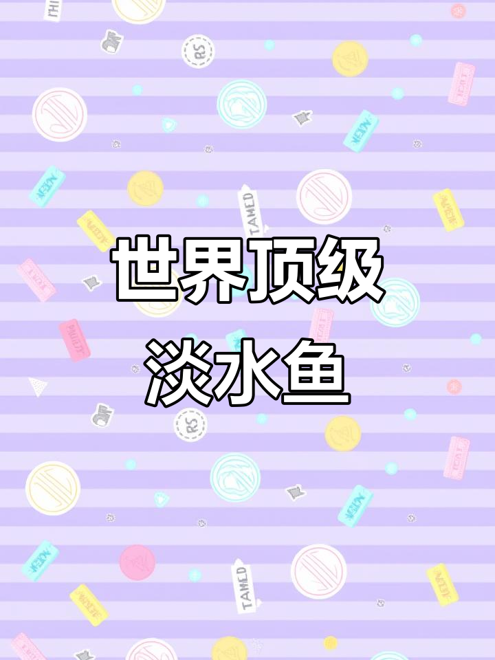 全球最贵淡水鱼,眼神灵动让人无法抗拒