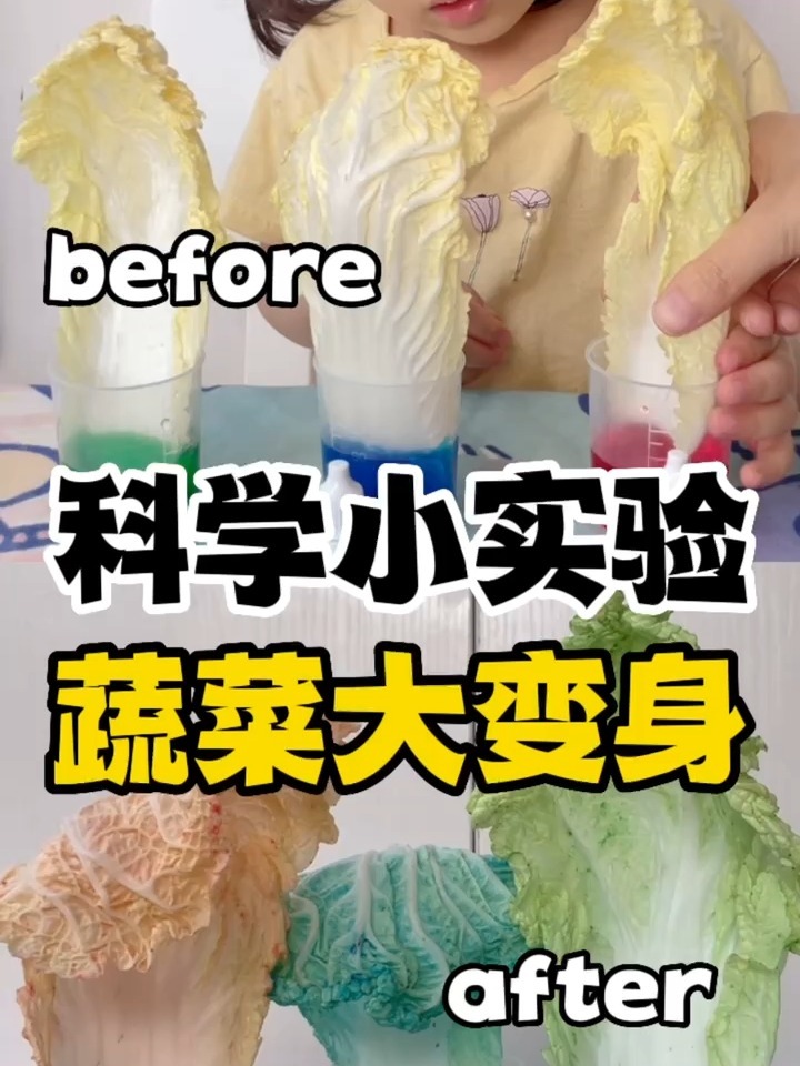 在家就能做的科学小实验:蔬菜大变身