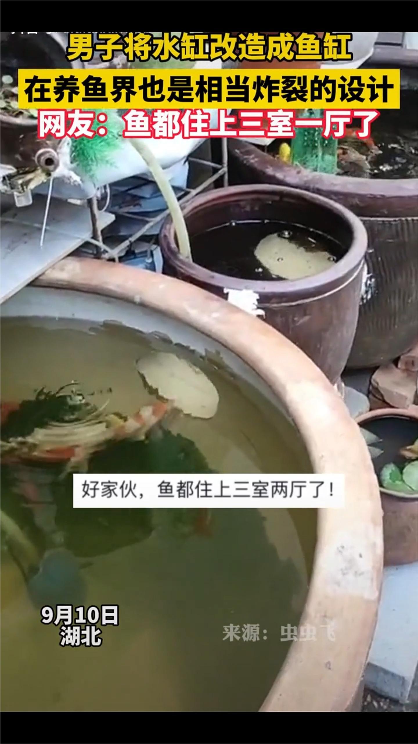 男子将水缸改造成鱼缸,在养鱼界也是相当炸裂的设计