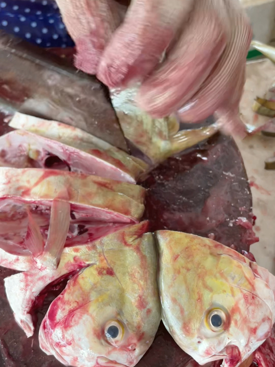 金鲳鱼的花样切法来啦