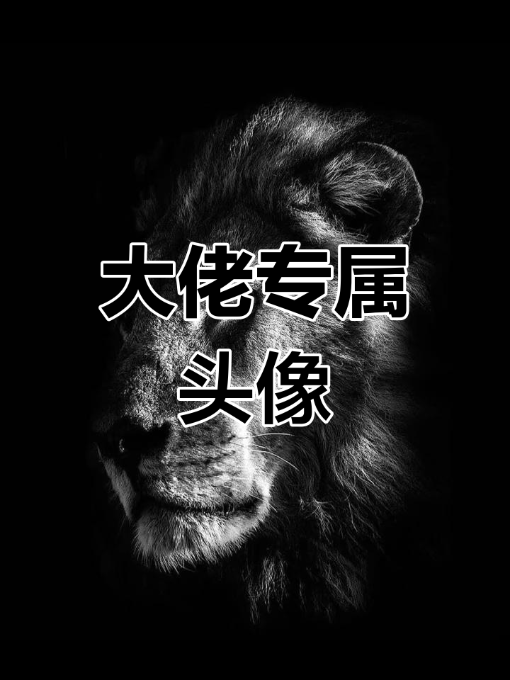 成熟稳重大佬必备头像,霸气十足尽显王者风范