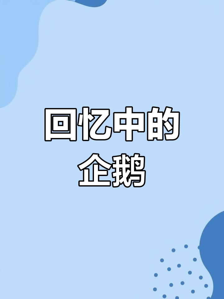 毕业后才察觉,那些青春时光都藏在企鹅的每一个角落