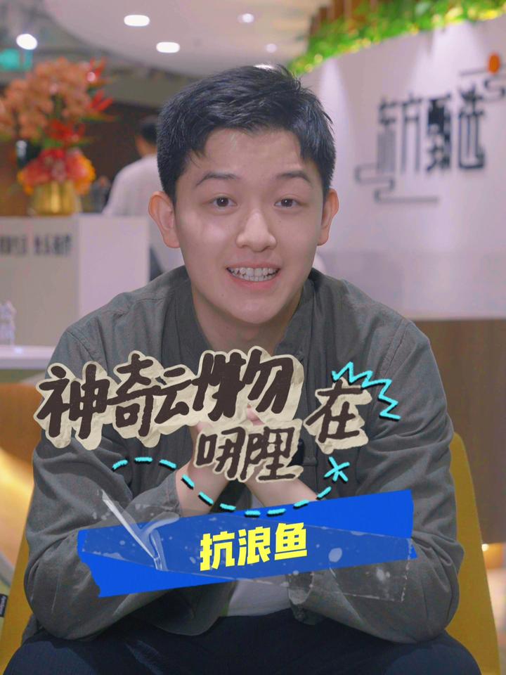 神奇动物在哪里?今天咱们来说说抗浪鱼～