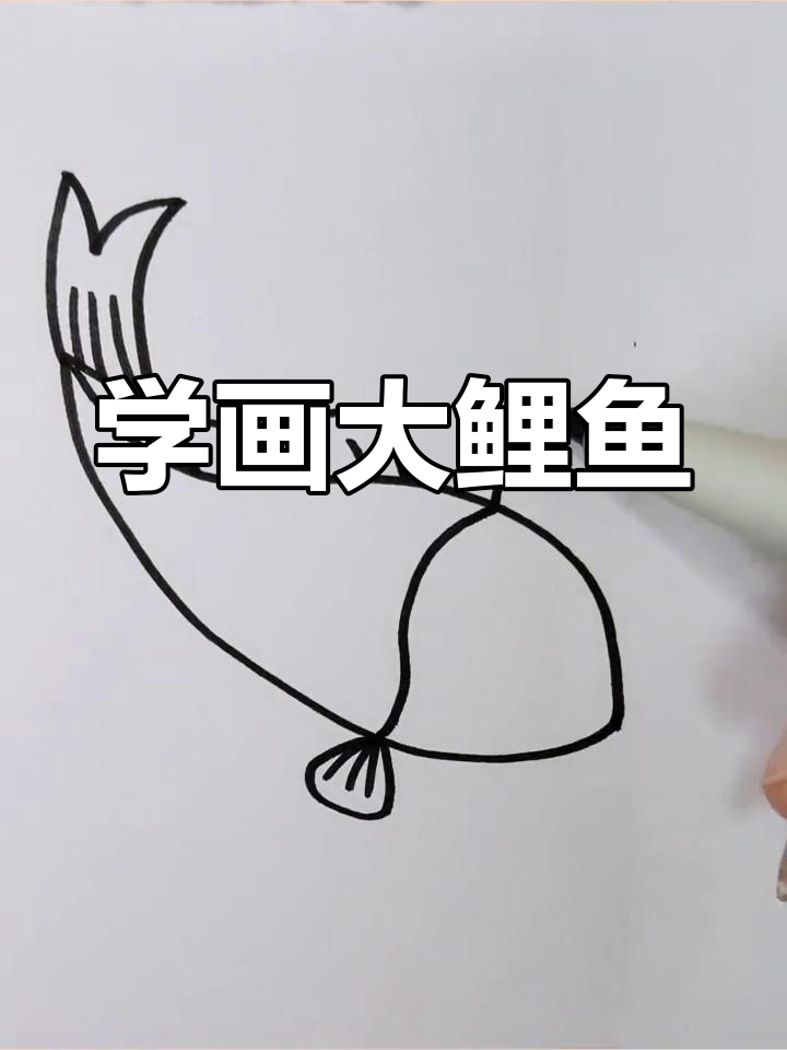 轻松学会画锦鲤,步骤简单又有趣
