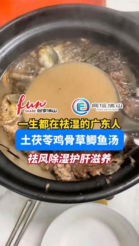 中医祛湿有妙招,土茯苓鸡骨草鲫鱼汤,祛风除湿护肝滋养。(编辑:林晓华、李炯聪、梁健恒;责编