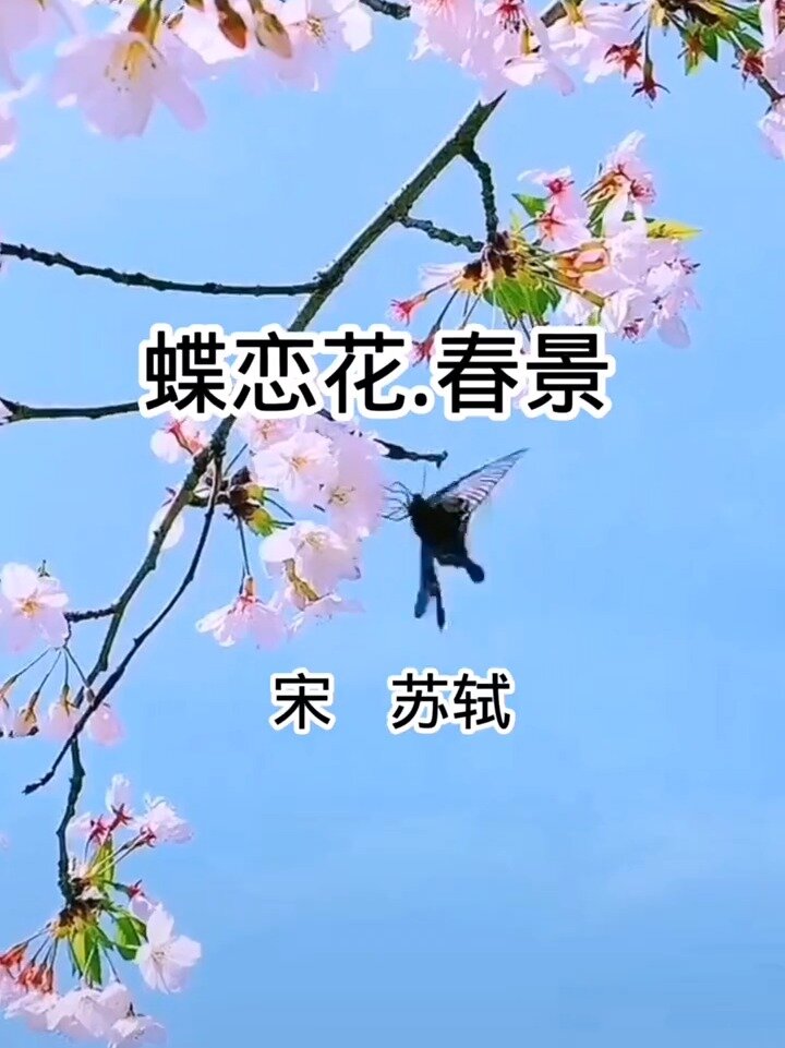 苏轼《蝶恋花.春景》朗诵