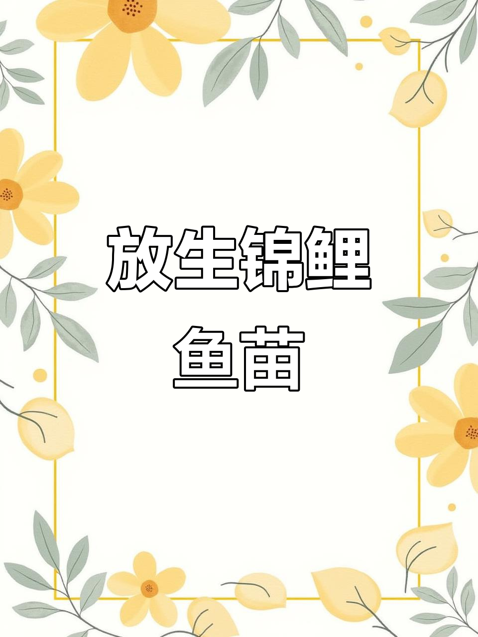 深圳盐田鱼苗场放生锦鲤，惠州周边热销