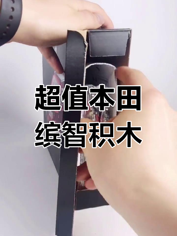 价值十万的LOZ积木,究竟有多特别?
