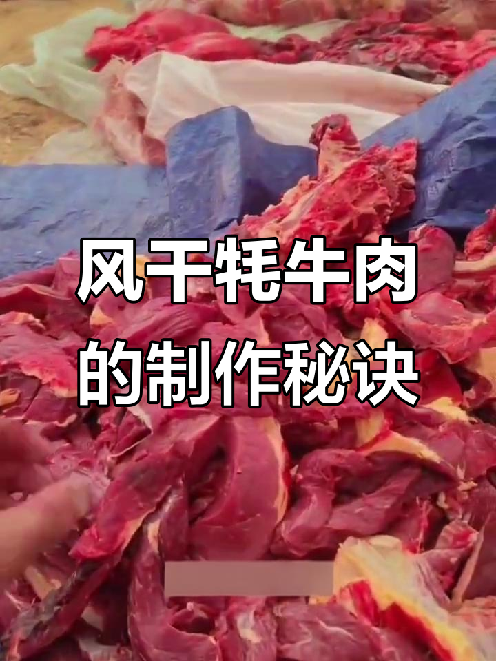 初冬风干牦牛肉制作揭秘:如何挑选新鲜肉,阴干技巧全解